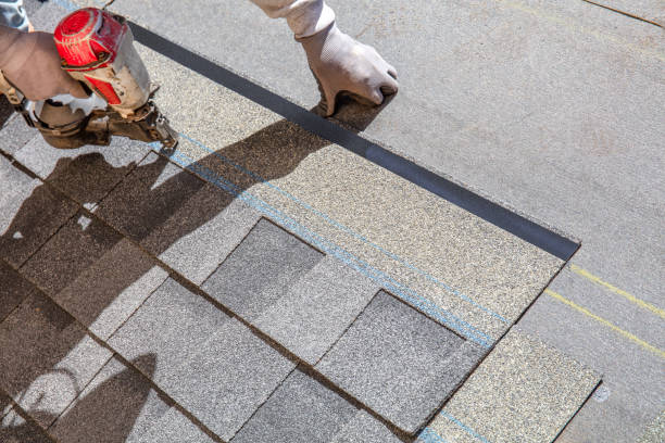 Best Roof Ventilation Installation  in Belmar, NJ